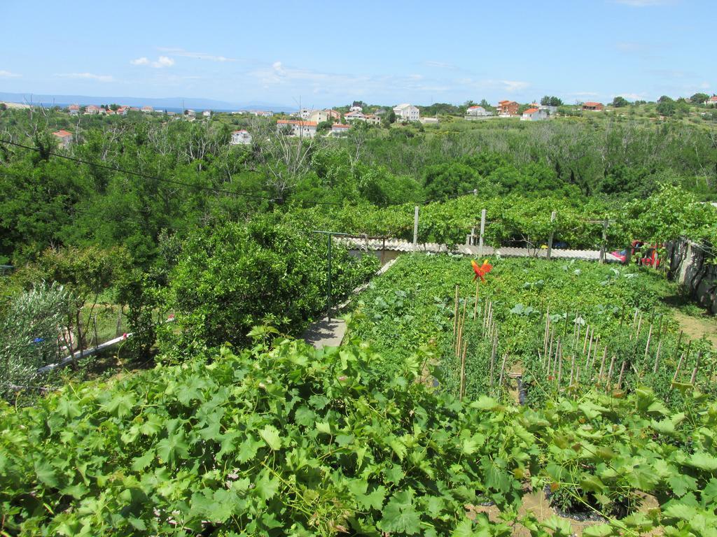 Apartmani Roza Лопар Екстериор снимка